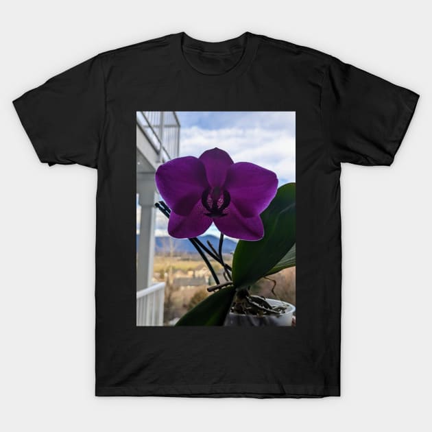 Orchid in bloom T-Shirt by CsillaRosales